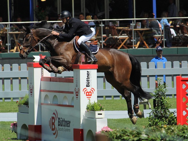 们争夺本赛 们争夺本赛