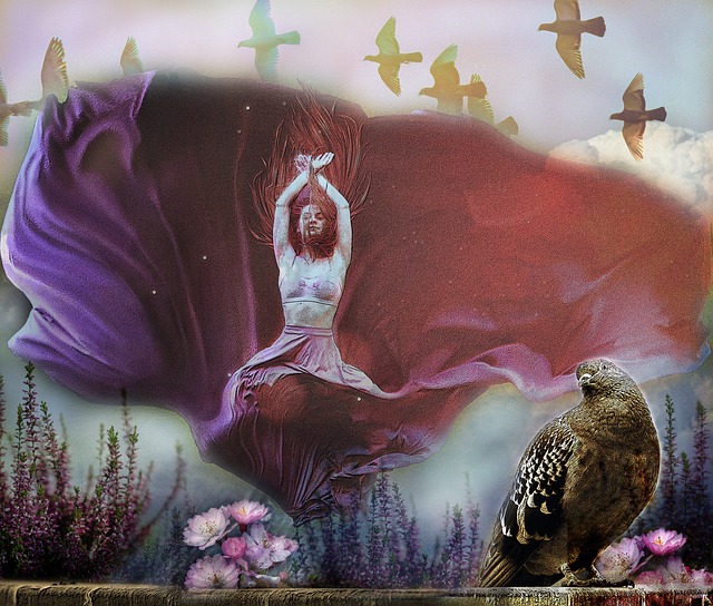 准的操作获 准的操作获