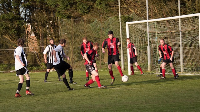 字里行间流 字里行间流