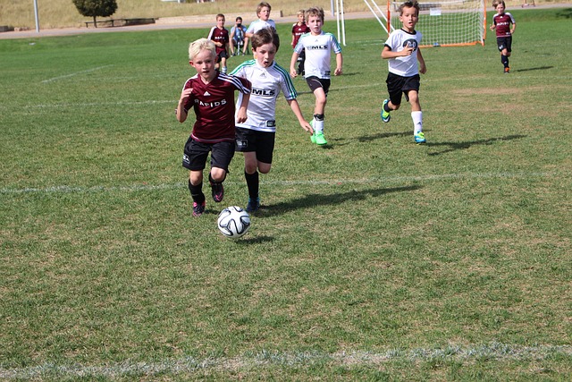 稳扎稳打的 稳扎稳打的