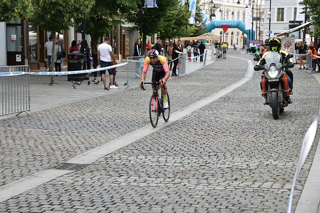 以便读者自 以便读者自