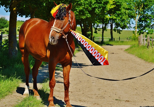 则的理解 则的理解