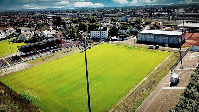 者的强大实 者的强大实